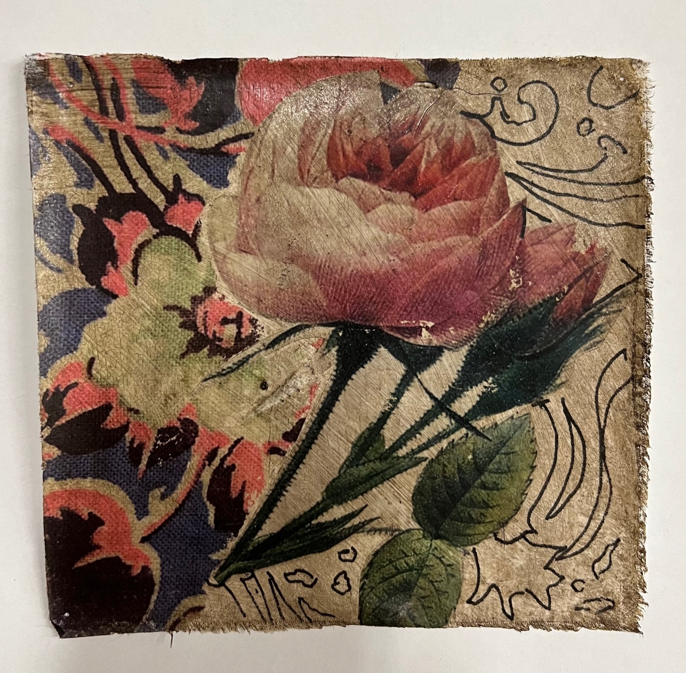 Pink Rose